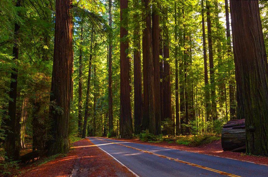 Cover Image for From coast to coast: 11 incredible destinations to explore in the U.S.