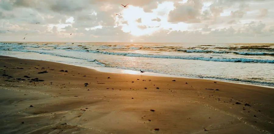 Cover Image for This Gulf Coast Beach Getaway Offers Seafood Delights and Relaxed Atmosphere