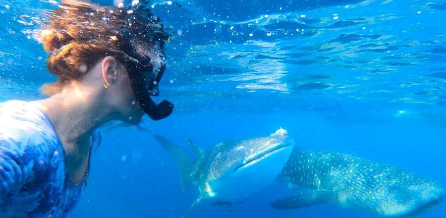 Cover Image for Discovering Indonesia's Hidden Islands on a Luxurious 12-Person Sailing Yacht