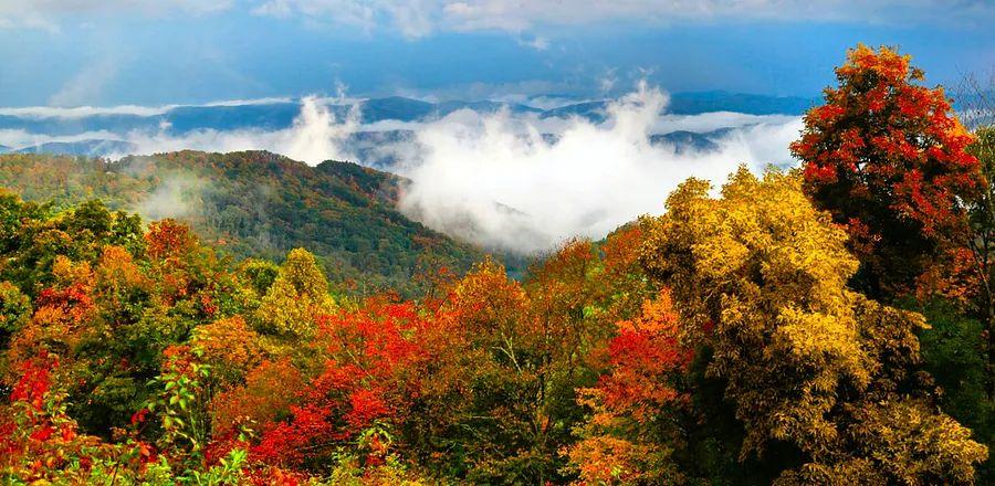Cover Image for Organize Your Autumn Escape With This Peak Foliage Forecast Map