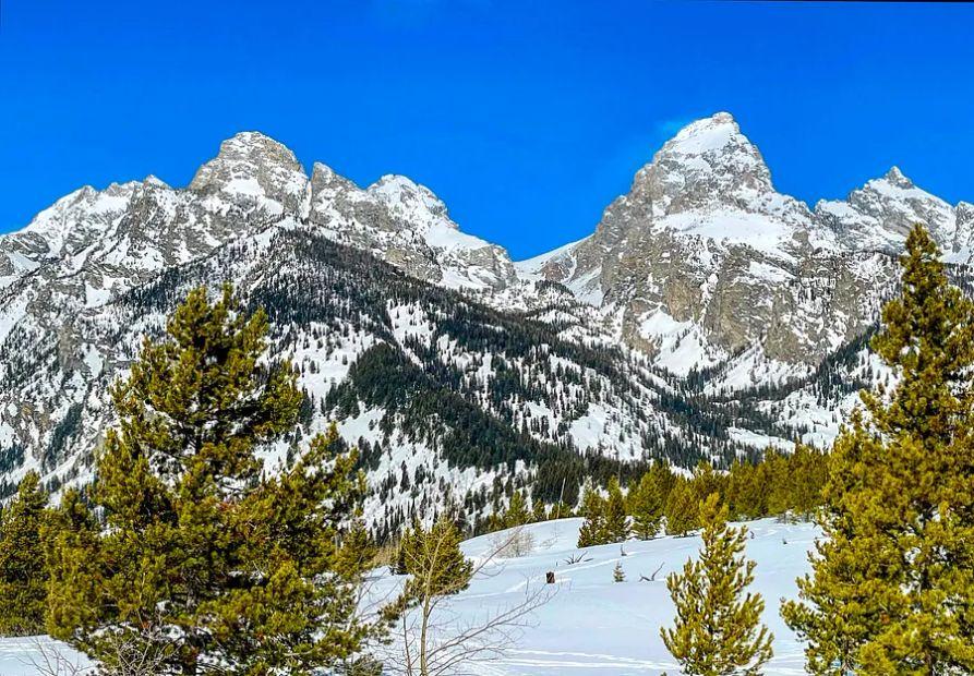 Cover Image for Reasons to explore Grand Teton National Park in the winter