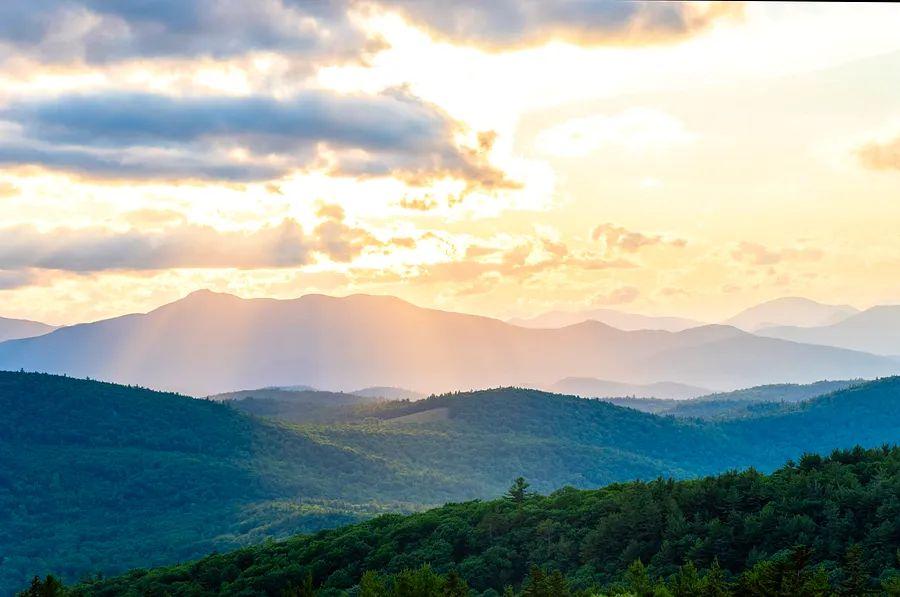 Cover Image for Tips for capturing professional-quality photos on a budget