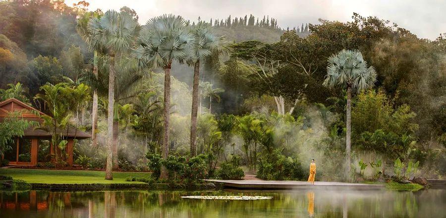 Cover Image for 20 Wellness Retreats and Hotels You Need to Book Today