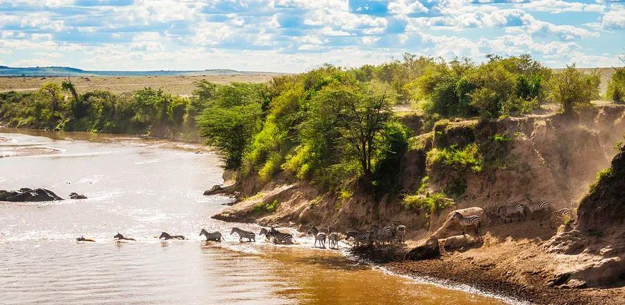 Cover Image for Your Upcoming SDinogoi Lodge Experience Could Be with Marriott—An In-Depth Look