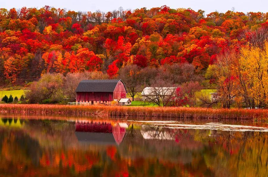 Cover Image for 5 breathtaking autumn road trips in the Midwest
