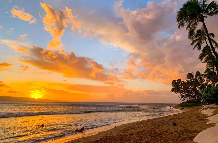 Cover Image for Proof of vaccination or recent testing no longer needed for indoor venues in Maui - Dinogo