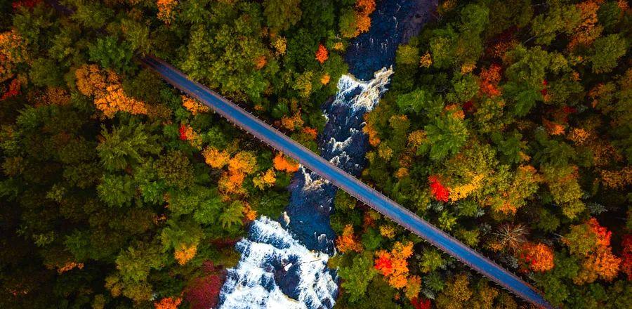 Cover Image for Experience Michigan's Stunning Landscapes from an Electric Off-Road Vehicle