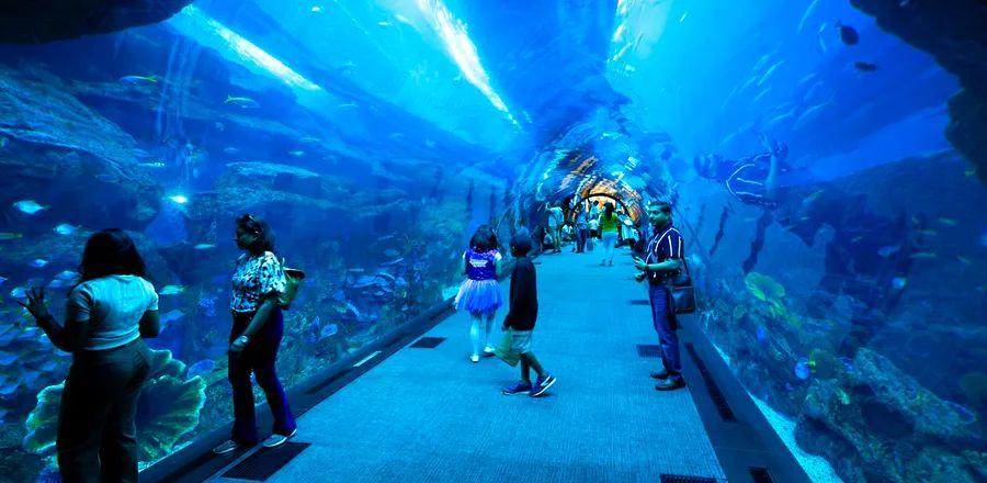 Cover Image for Top Attractions and Activities in Dubai for Families