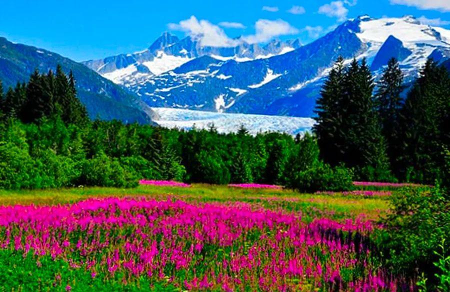 Cover Image for 6 Must-Experience Highlights for Your Upcoming Alaska Cruise Adventure