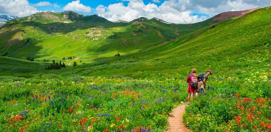 Cover Image for Your Ultimate Local's Guide to Aspen