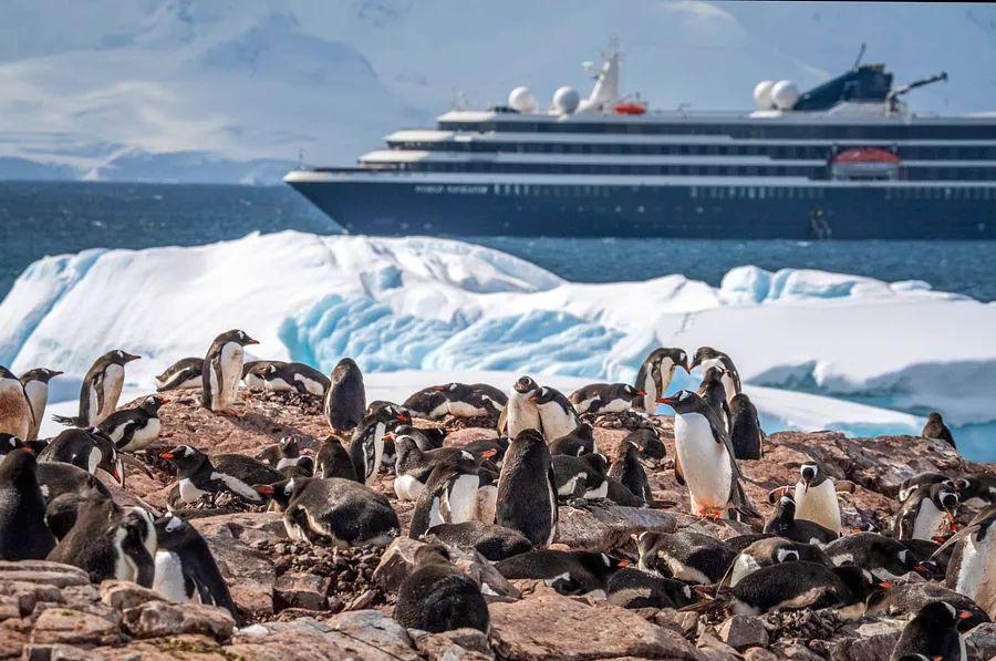 Cover Image for A Wild Frontier: Unveiling the Untamed Dreamscape of Antarctica