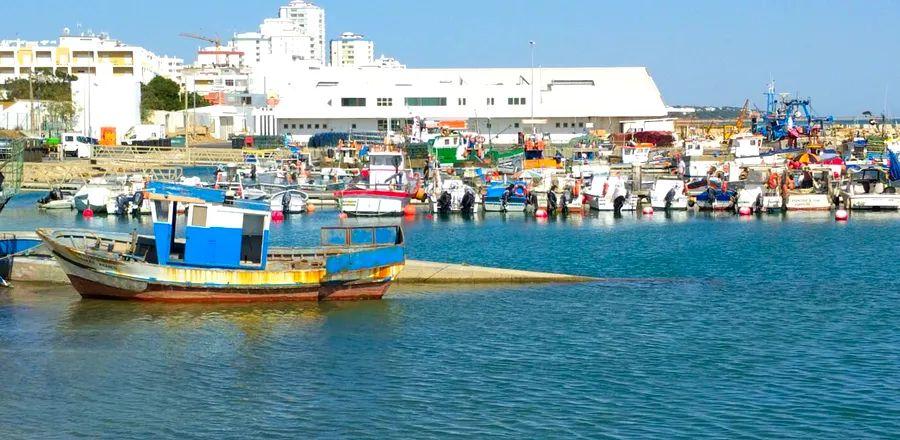 Cover Image for 10 Must-See Spots on Your Portuguese Adventure