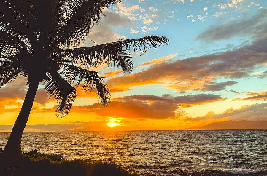 Cover Image for I cherish Hawaii, but I won't be returning anytime soon—here's why