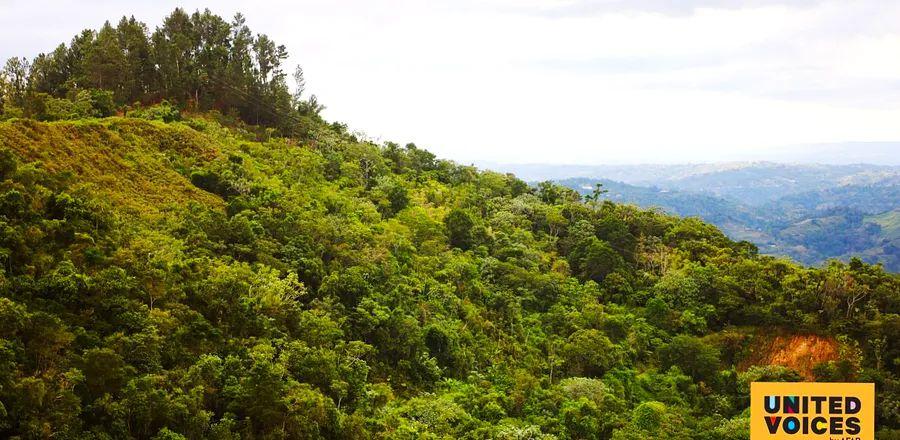 Cover Image for A Coffee Farm Worth the Journey in Puerto Rico's Mountains