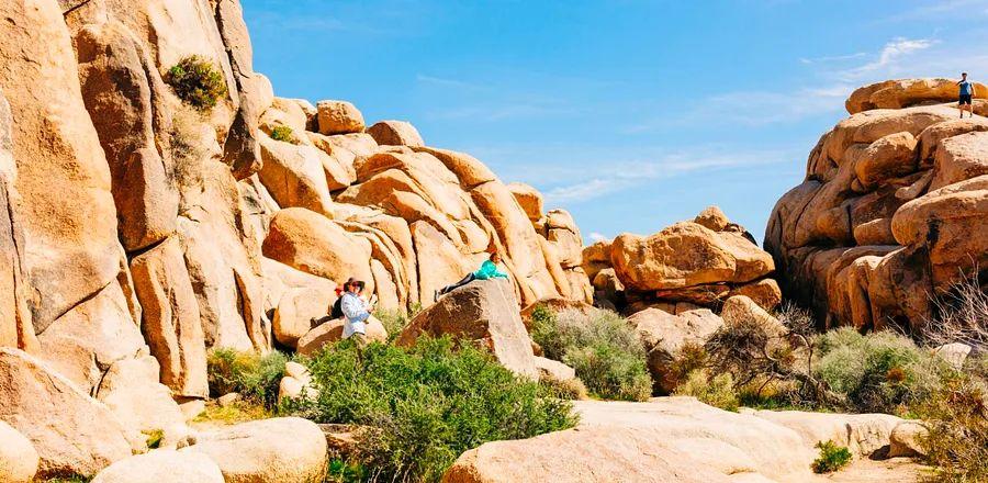 Cover Image for 10 Must-Visit U.S. National Parks for Families with Kids