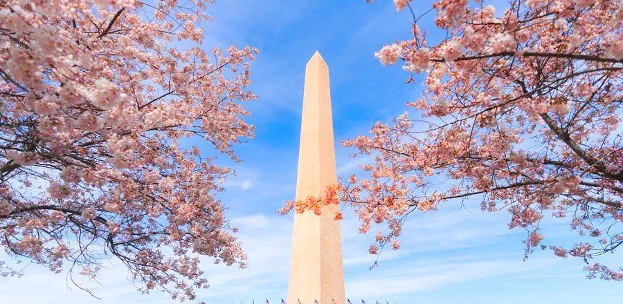 Cover Image for Explore a Rich Tapestry of Experiences on Your Visit to Washington, D.C.