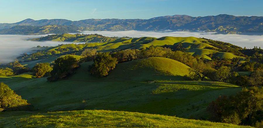 Cover Image for Make Your Upcoming Hotel Stay in California Meaningful—for You and the Community