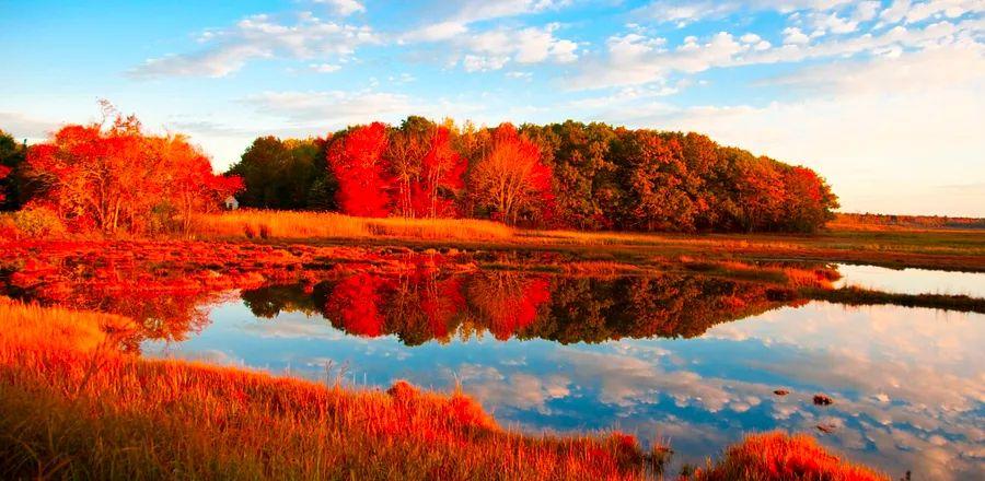 Cover Image for The Ultimate Guide to Discovering Maine’s Natural Wonders, Through the Eyes of a Local