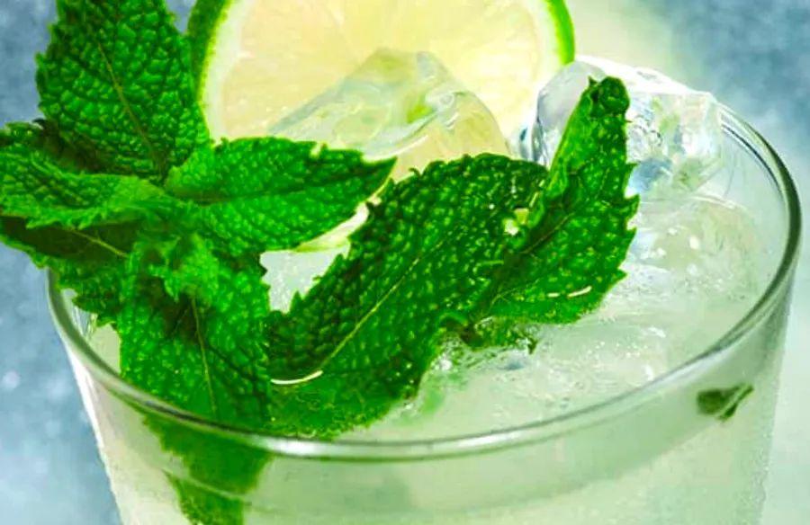 Cover Image for Home-Crafted Cocktail Recipes: Northern Lights