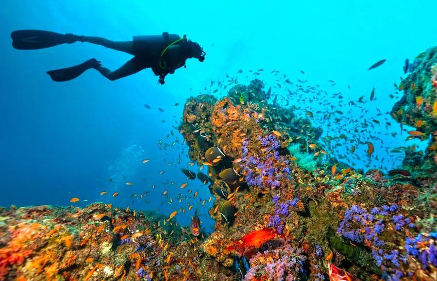 Cover Image for 6 Exciting Activities to Experience in Bermuda