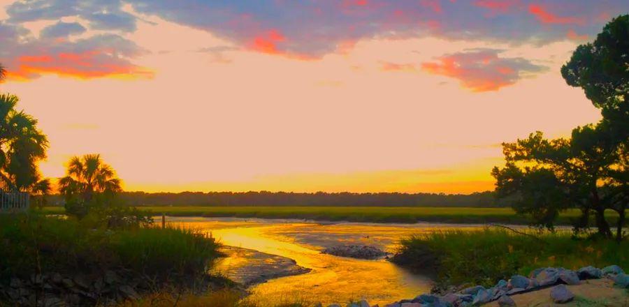 Cover Image for The Top 7 Beaches in South Carolina