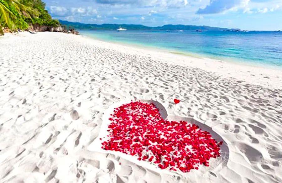 Cover Image for Top 3 Cruise Proposal Ideas
