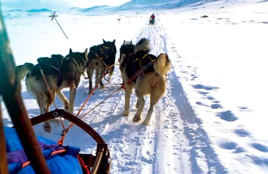 Cover Image for Exploring Alaska: When the Last Frontier Beckons