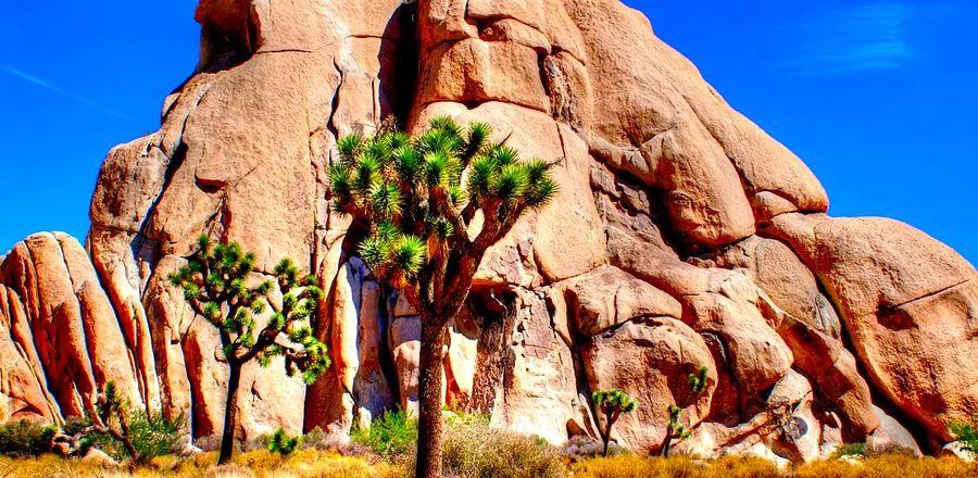 Cover Image for The National Parks have just received their largest funding boost ever—discover how it will enhance the visitor experience.