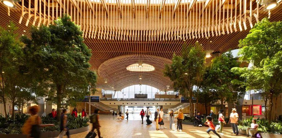 Cover Image for Portland Airport Unveils New Terminal Featuring an Indoor Forest, Local Cuisine and Brews, and Therapy Llamas