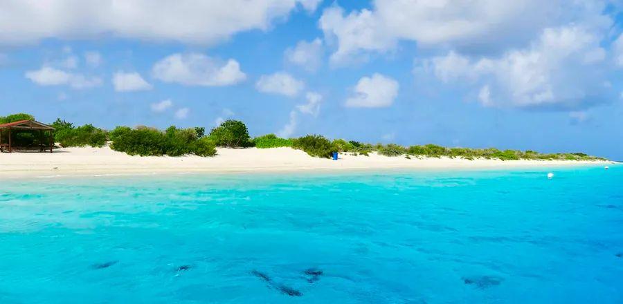 Cover Image for 12 Must-See Activities for Your Next Visit to Bonaire