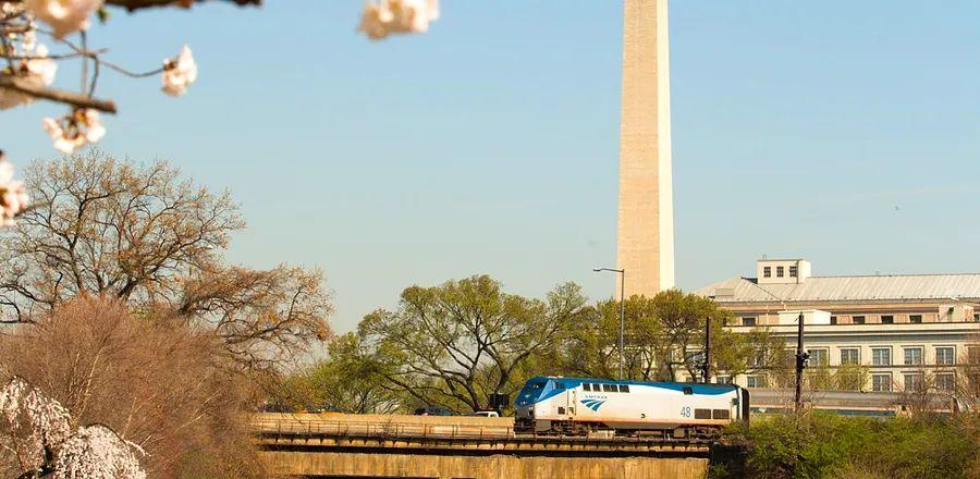 Cover Image for You Can Now Secure $19 Amtrak Tickets to D.C. for the Peak Cherry Blossom Season