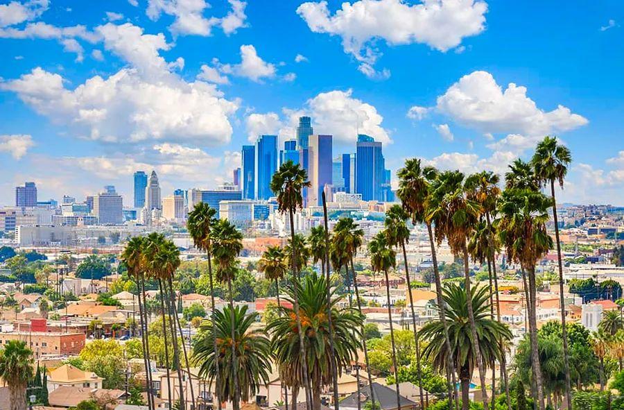 Cover Image for 6 Must-See Experiences in Los Angeles Before & After Your Cruise