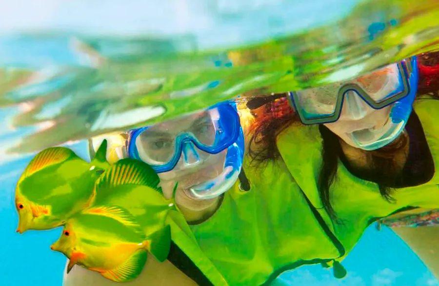 Cover Image for 4 Cruise Tips to Enhance Your Next Vacation