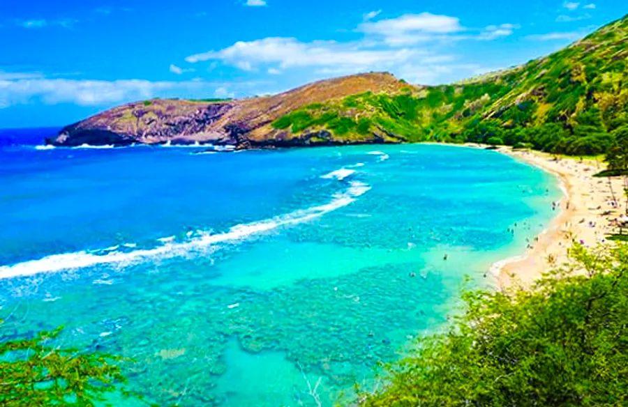Cover Image for Oahu Voyage: The Floral Gift of the Land