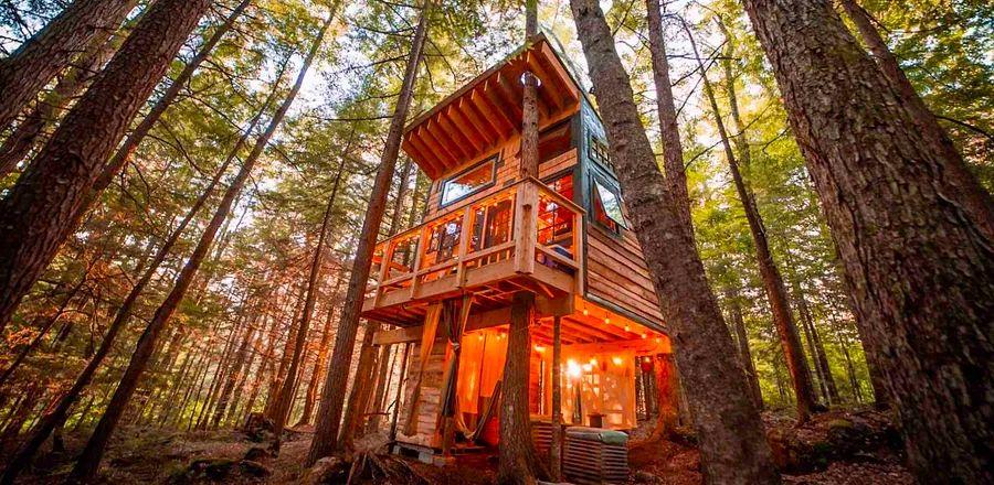 Cover Image for Elevate Your Leaf Peeping Experience with These 16 Tree House Airbnbs