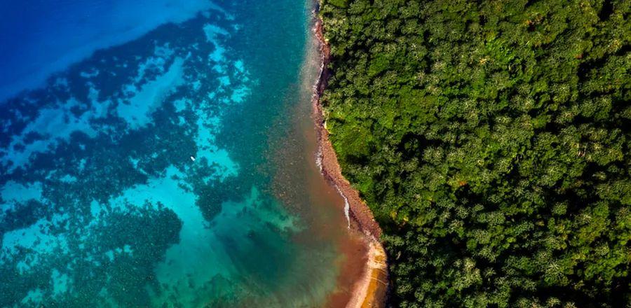 Cover Image for 8 Essential Experiences in Costa Rica