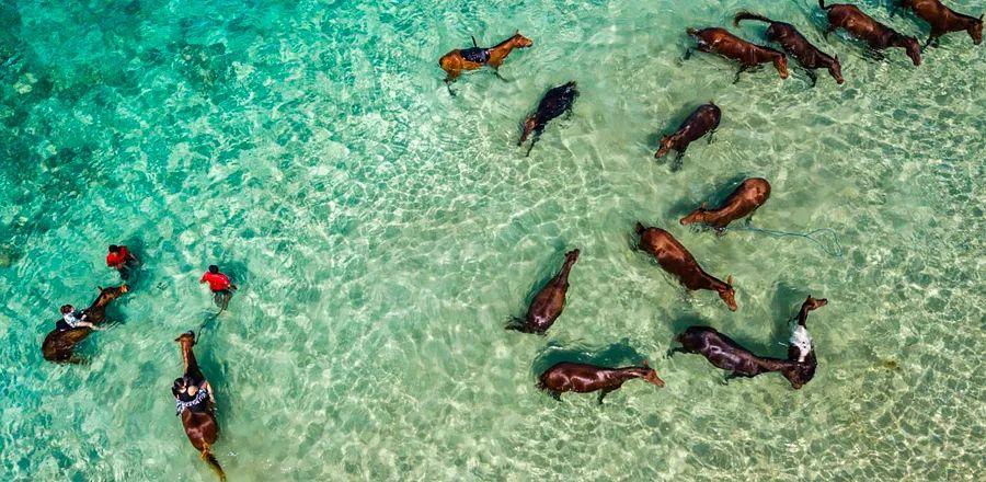 Cover Image for Three Eco-Resorts Showcasing Indonesia’s Hidden Island