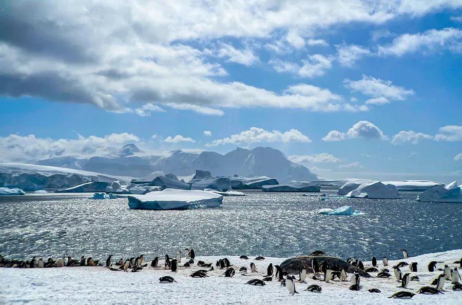 Cover Image for Essential Packing Guide for Your Journey to Antarctica