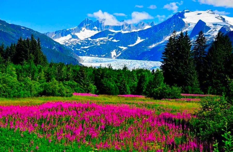 Cover Image for 11 Compelling Reasons to Cruise to Alaska This Summer