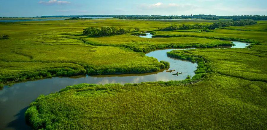 Cover Image for 5 Ways to Discover the Unmatched Natural Beauty of the Golden Isles