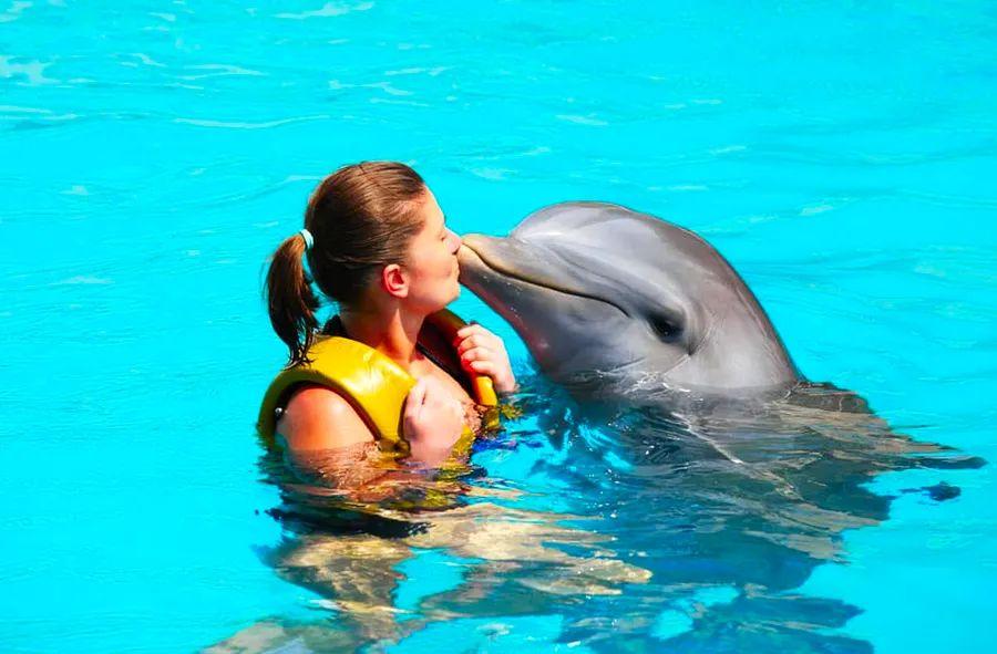 Cover Image for Top 5 Shore Excursions in Bermuda