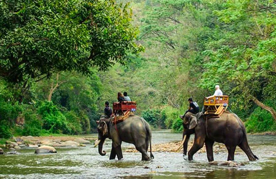 Cover Image for 6 Unique Destinations to Explore on Your Next Cruise