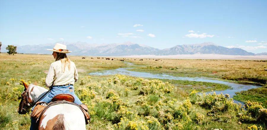 Cover Image for Experience Your Next Ranch Getaway Next to a Dark Sky Park in Colorado