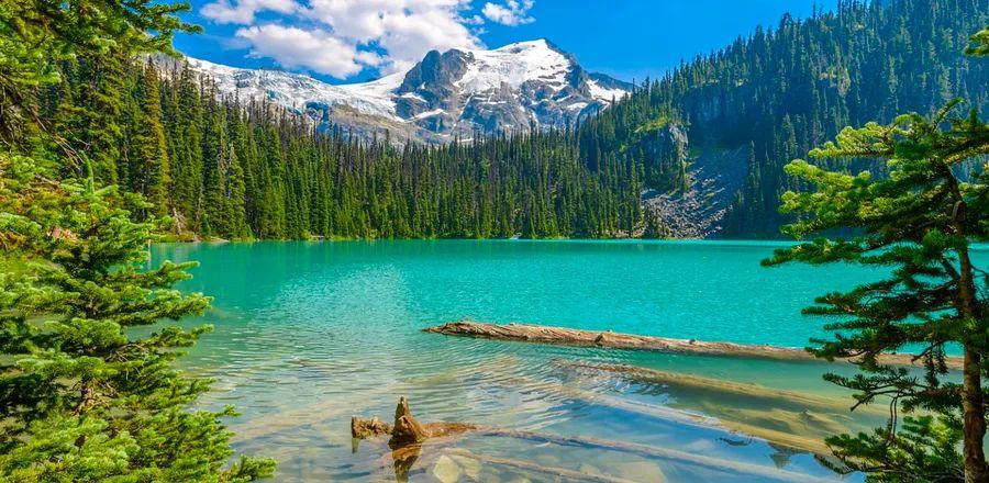 Cover Image for Canada to Eliminate COVID Testing Requirement for Travelers
