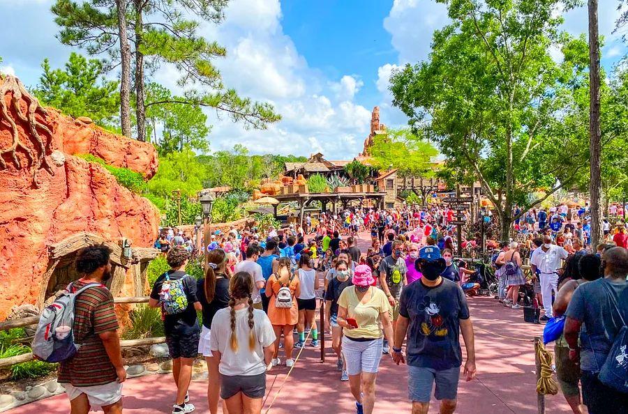 Cover Image for COVID surges and large crowds: Reasons to reconsider your Florida theme park visit