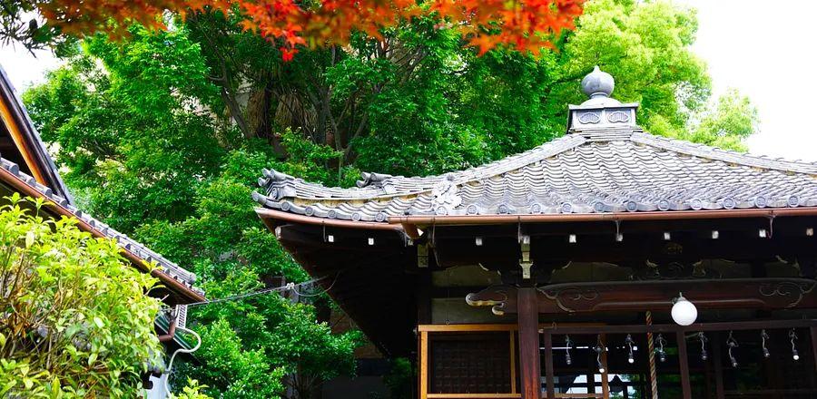 Cover Image for 8 Essential Stops on Your Journey Through Japan