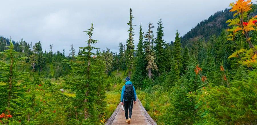 Cover Image for Enjoy Up to 40% Off on Climate Neutral Brands in This One-Day Flash Sale