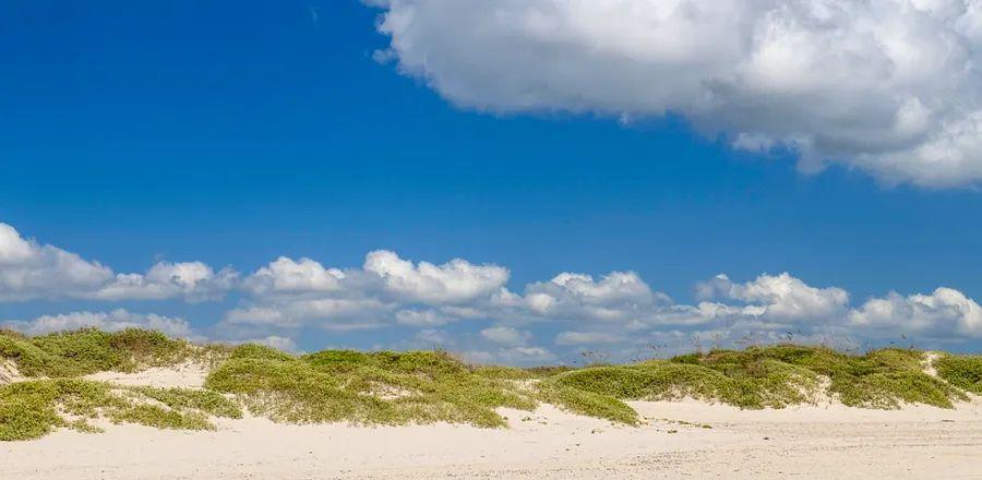 Cover Image for Why You Should Plan Your Next Beach Getaway to Texas