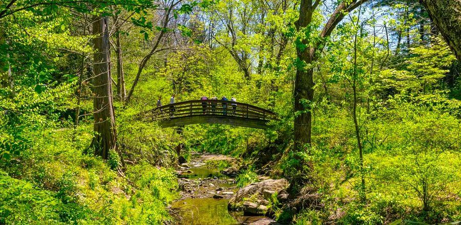 Cover Image for Asheville Alfresco: Discover the Best Spots to Experience the Outdoors in This Lively North Carolina City