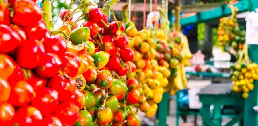 Cover Image for A Complete Guide to Costa Rican Cuisine: 10 Must-Eat Dishes
